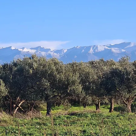 Holiday home Pagoni Selini N 1 Chania