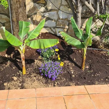 Holiday home Pagoni Selini N 1 Chania
