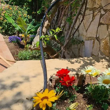 Holiday home Pagoni Selini N 1 Chania *